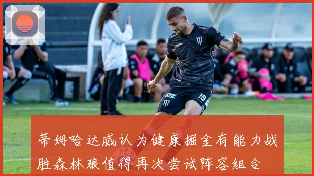 蒂姆哈达威认为健康掘金有能力战胜森林狼值得再次尝试阵容组合